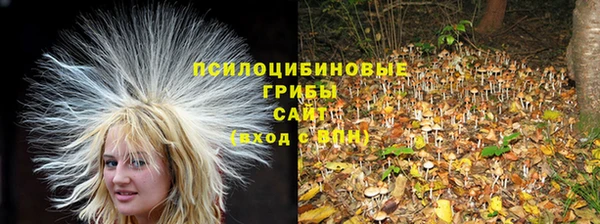 бутират Бородино
