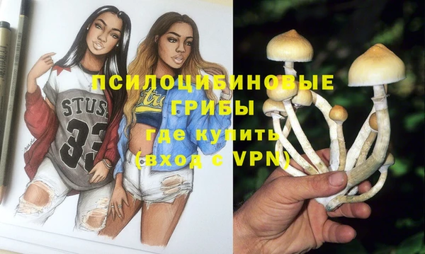 синтетический гашиш Богданович