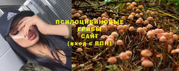 бутират Бородино